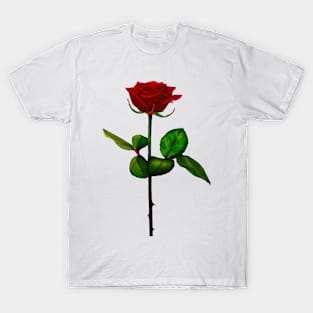 Red Rose T-Shirt